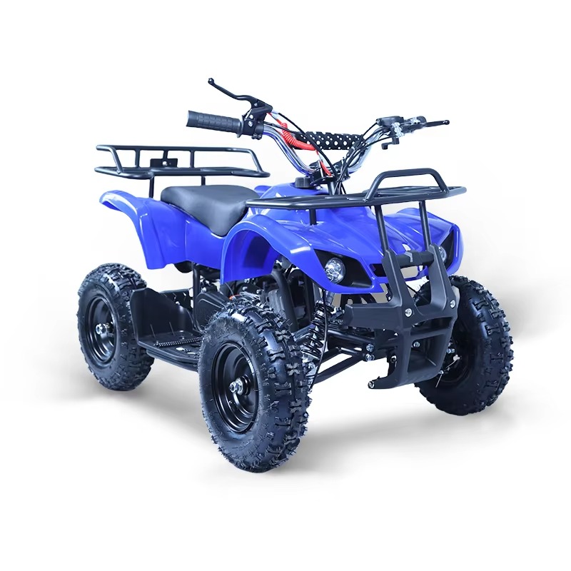 Kids Outdoor Quad - 49ccミニATVキッズクワッドバイク2ストロークガソリンエンジン搭載4輪クワトリモト子供用オフロードスポーツアウトドア乗用玩具