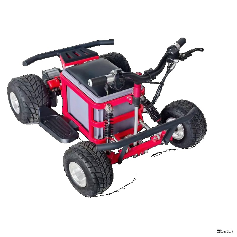 クレイジーカートドリフト電動大人用48v子供用電動乗用玩具車 - Kids Outdoor Karting のレビューと価格