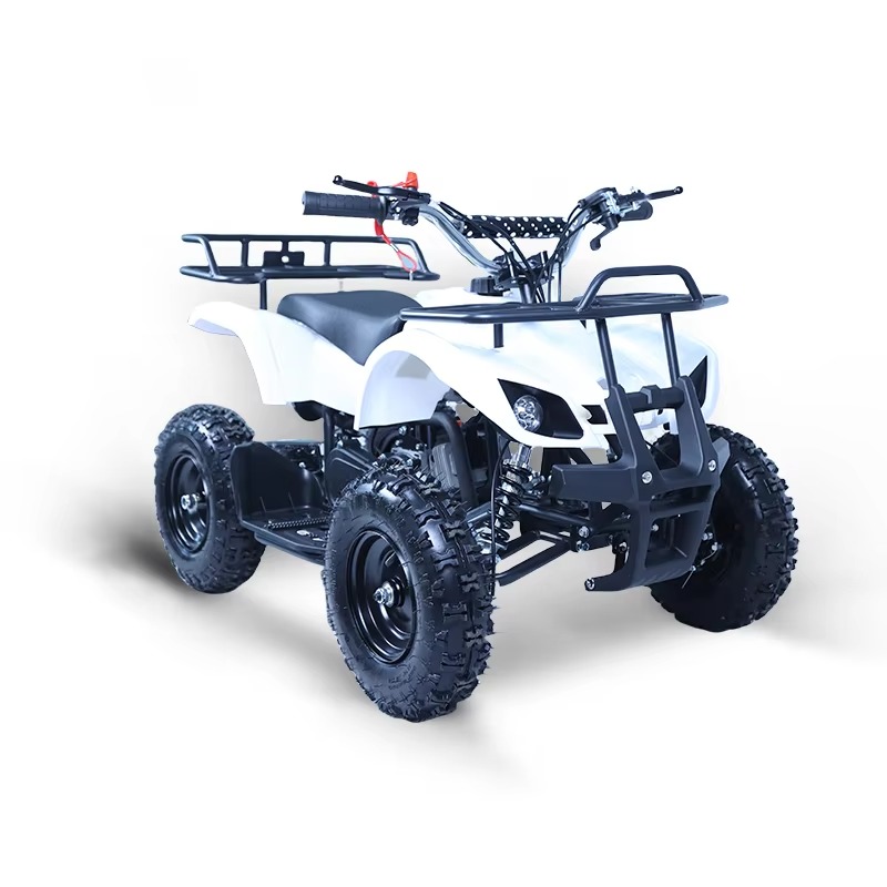 49ccミニATVキッズクワッドバイク2ストロークガソリンエ - Kids Outdoor Quad のレビューと価格