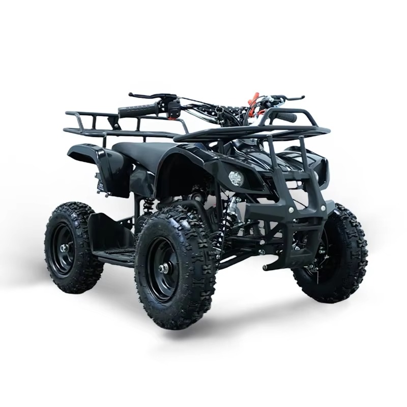 49ccミニATVキッズクワッドバイク2ストロークガソリンエ - Kids Outdoor Quad のレビューと価格