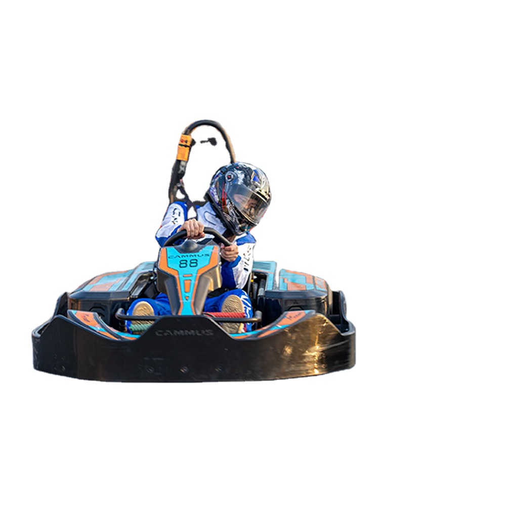 CAMMUS アウトドアスポーツカート 電動ゴーカート 大人 - Kids Outdoor Karting のレビューと価格